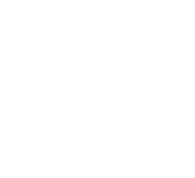 Javier Ortega, dirección de FHI